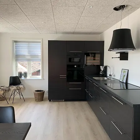 Nyistandsat Stuelejlighed I Midtby Apartment